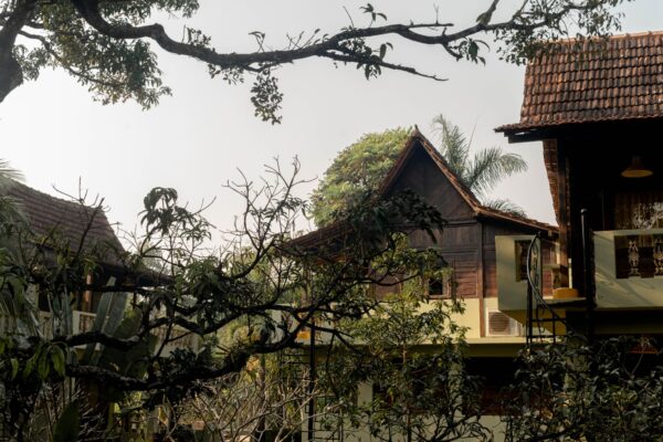 DSC8924-2048x1363 (1)